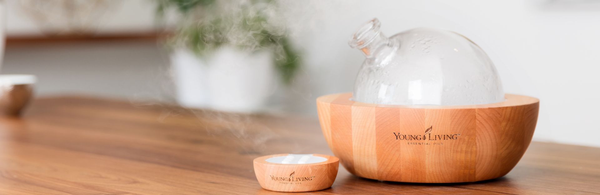 Why Diffuse Essential Oils?