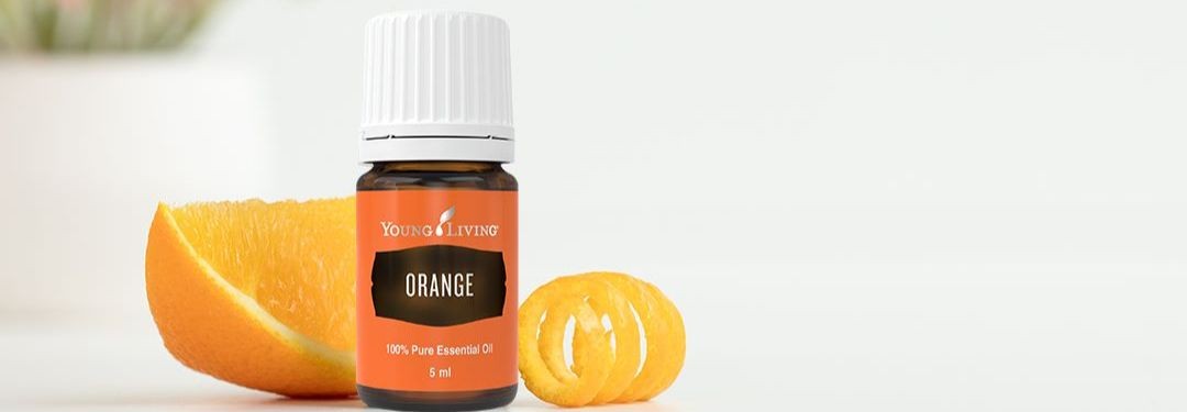 Orange Intro