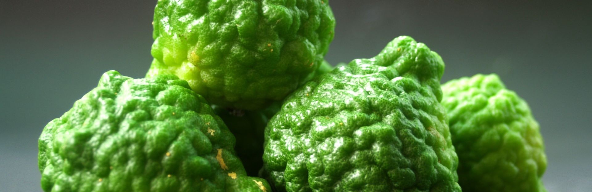 Bergamot Intro