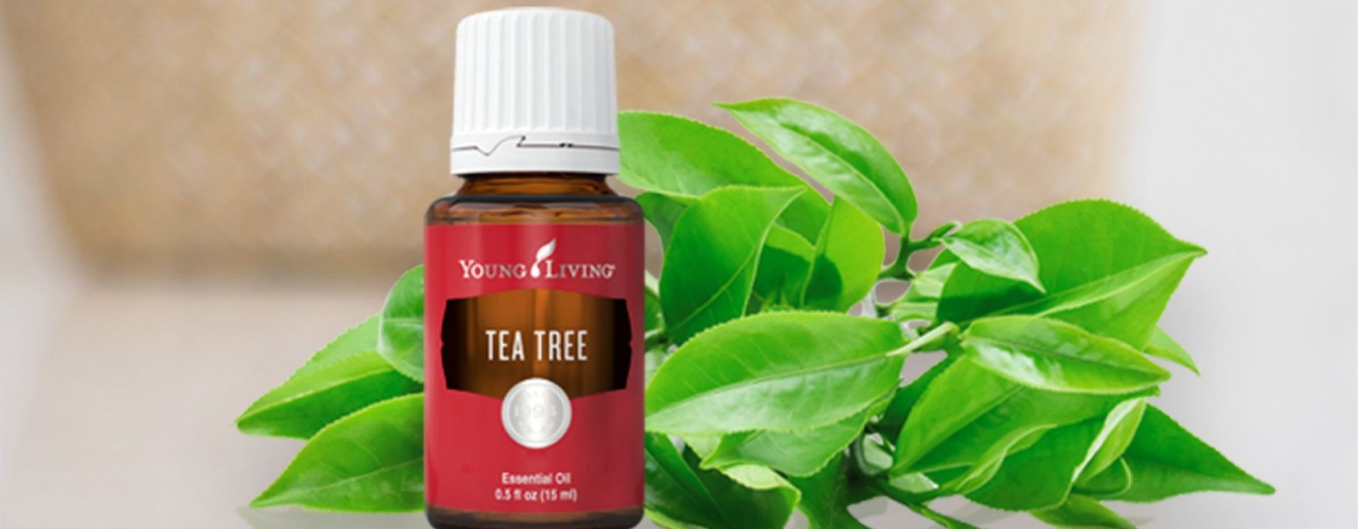 Tea Tree Intro