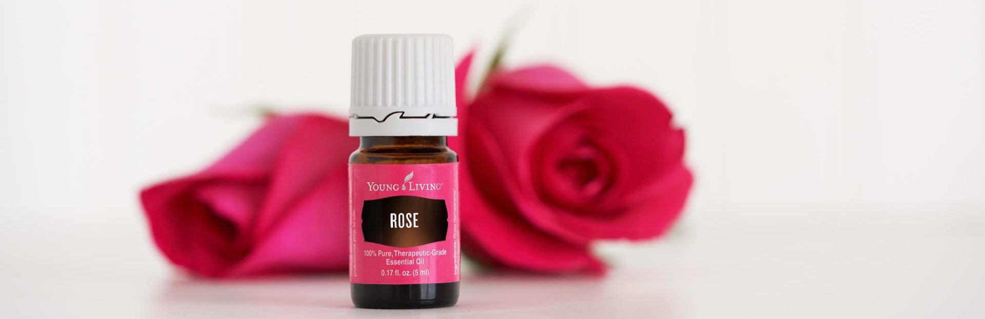 Rose Intro