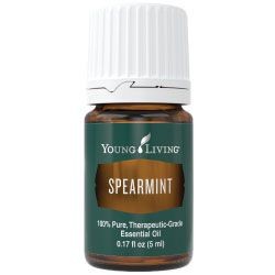 Spearmint Intro