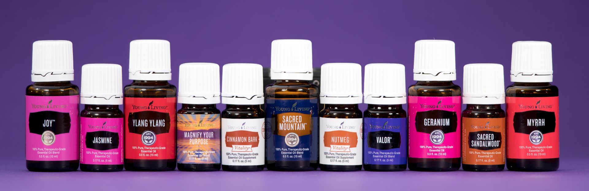 Devotion (11 oils)