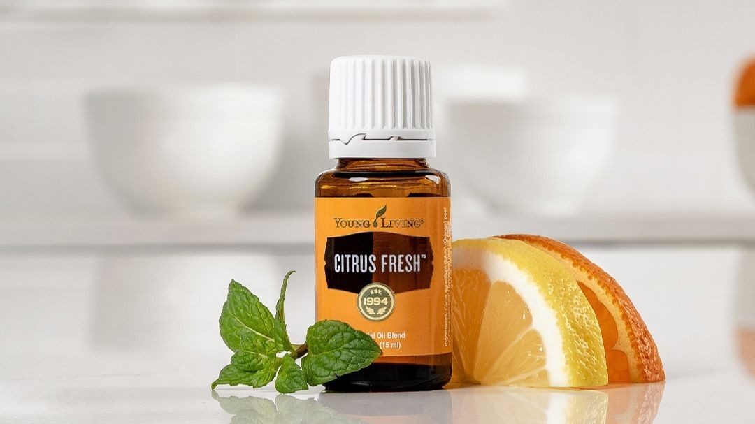 Citrus Fresh Intro