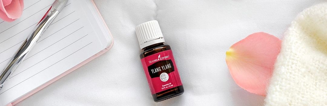 Ylang Ylang Intro