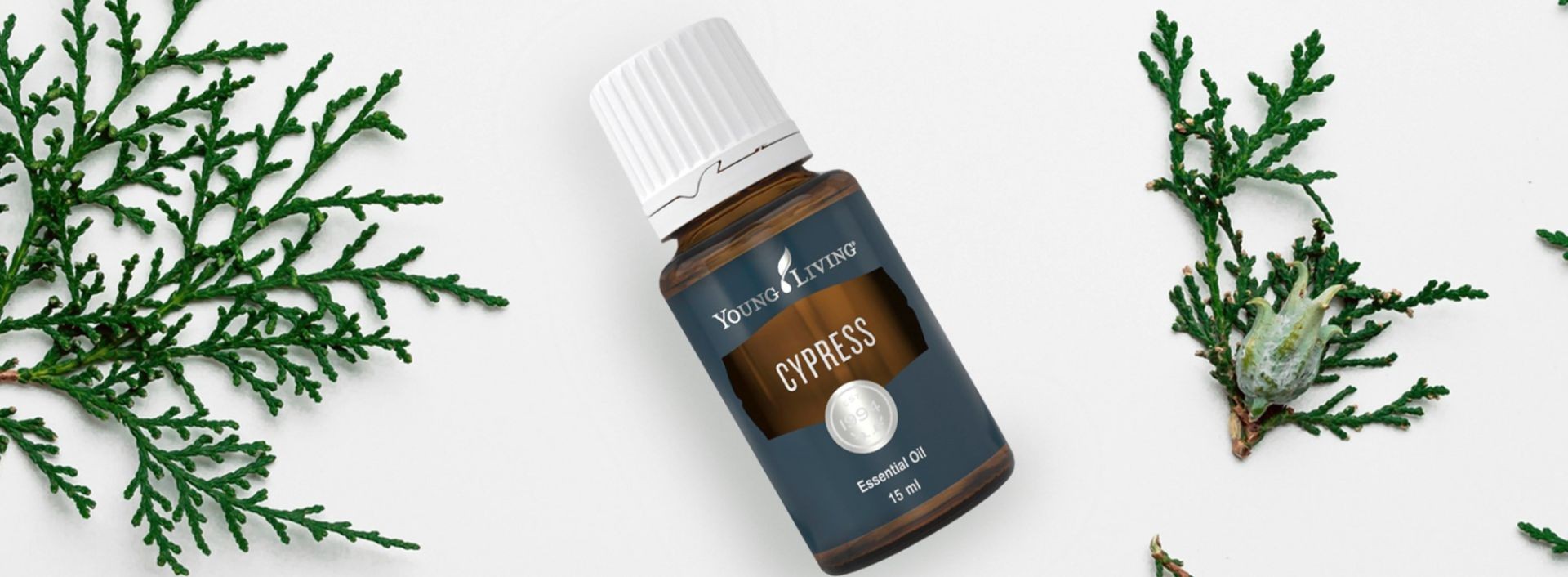 Cypress Intro