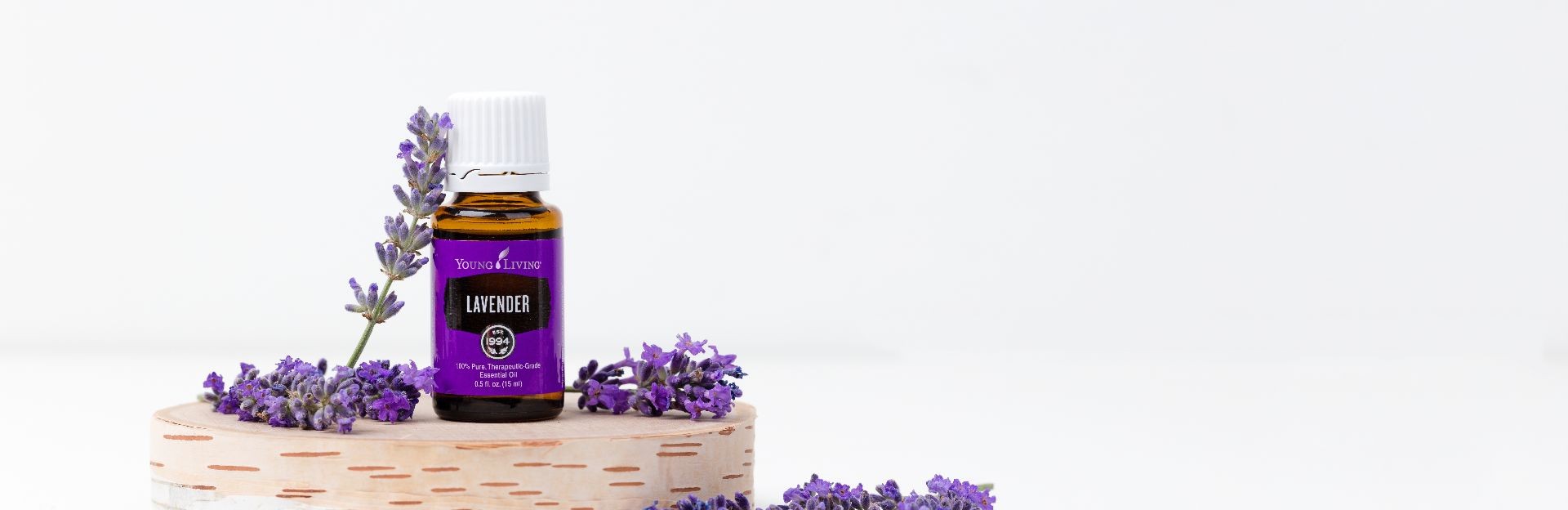 Lavender Intro