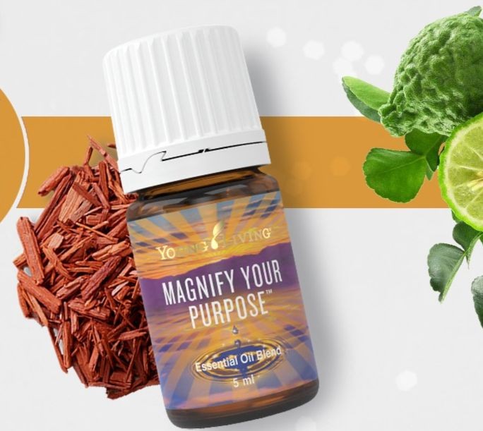 Magnify Your Purppose Intro