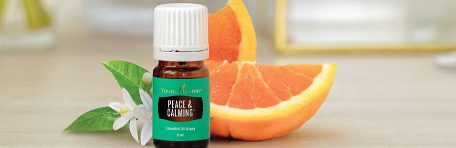 Peace & Calming Intro