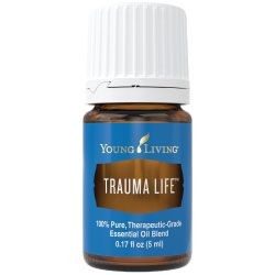 Trauma Life Intro